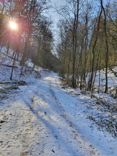 Eitzweiler: Mühlenberg Runde