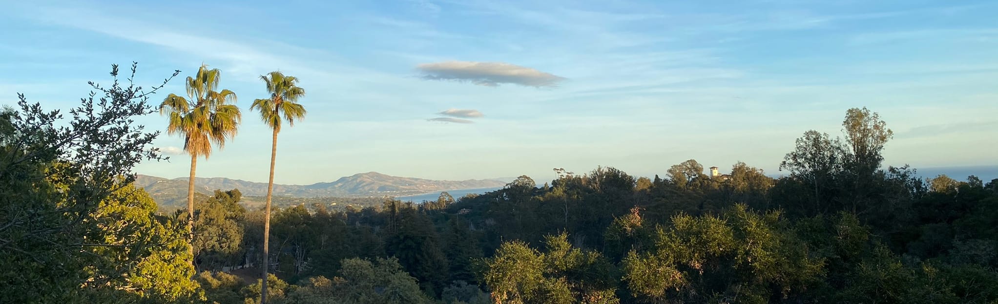 Hale Park Loop 13 Reviews, Map California AllTrails