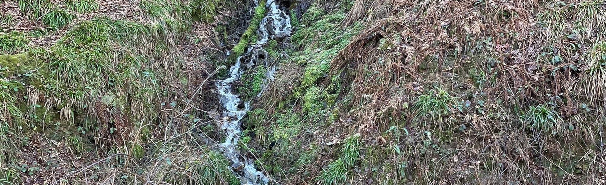 Col des Marrous Col de l'Homme 7 Reviews, Map Ariège, France