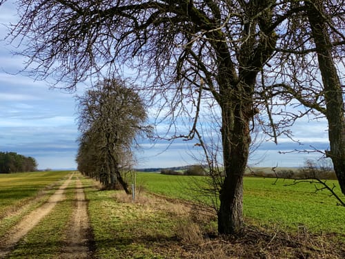 Paradiesgartenweg (Premiumwanderweg)