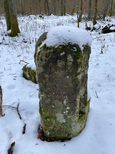 Erlenbach - Tiefenthaler Berg - Strickberg