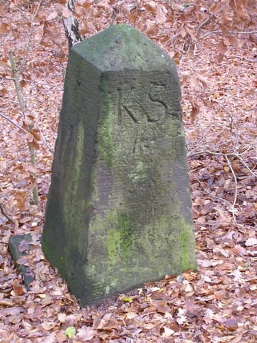 Dahlener Heide und Dröschkauer Heide