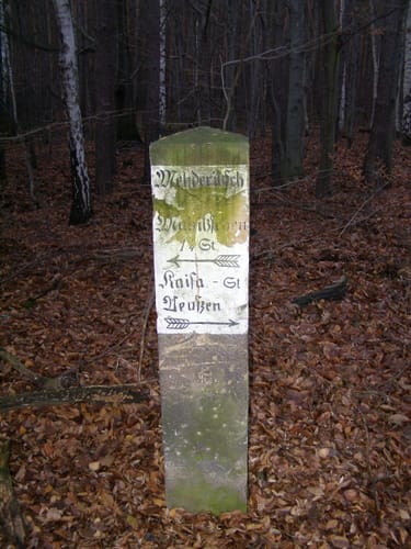 Dahlener Heide und Dröschkauer Heide