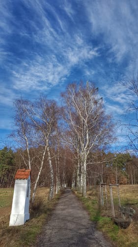 Kreuzweg am Erbig - Bollenweg - Fidelioweg