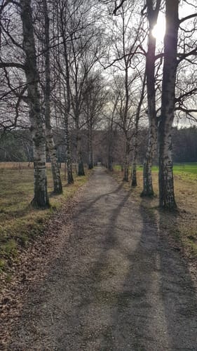 Kreuzweg am Erbig - Bollenweg - Fidelioweg