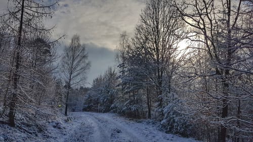 Rundwanderweg Höchst Obrunnschlucht 3: Hohe-Berg-Weg