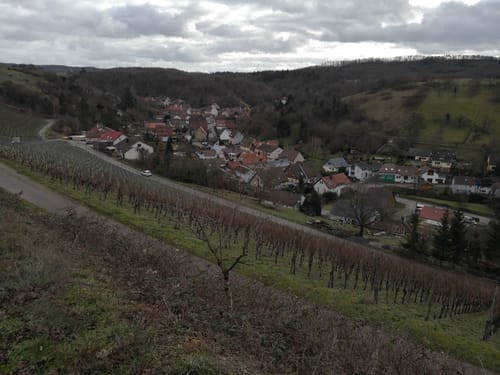 Freudensteiner Weinbergenweg