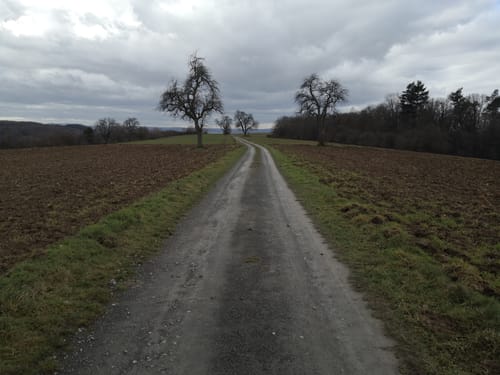 Freudensteiner Weinbergenweg