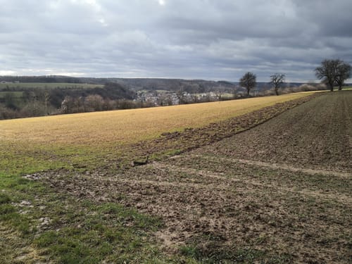 Freudensteiner Weinbergenweg