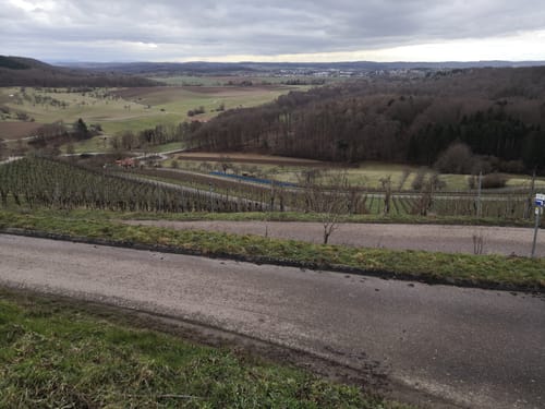 Freudensteiner Weinbergenweg