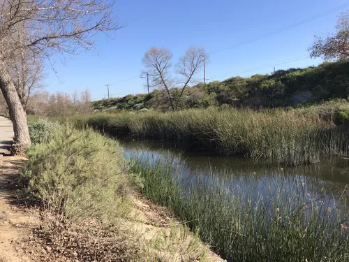 Hikes in shop long beach