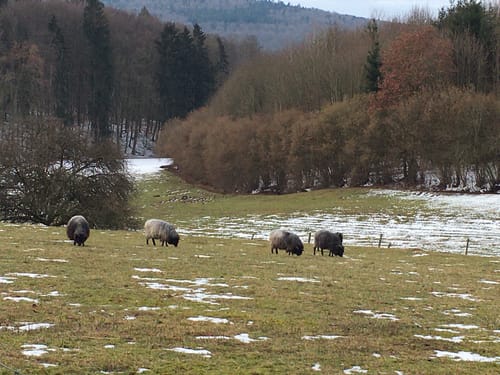 Bei Lauterach zur Kapelle