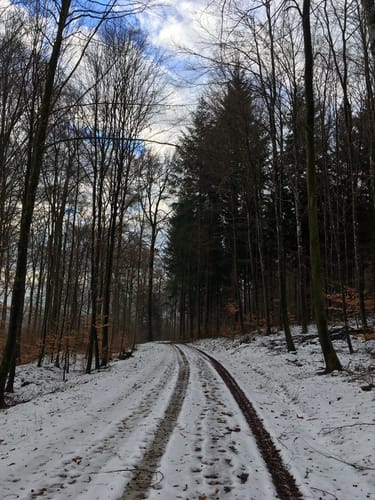 Bei Lauterach zur Kapelle