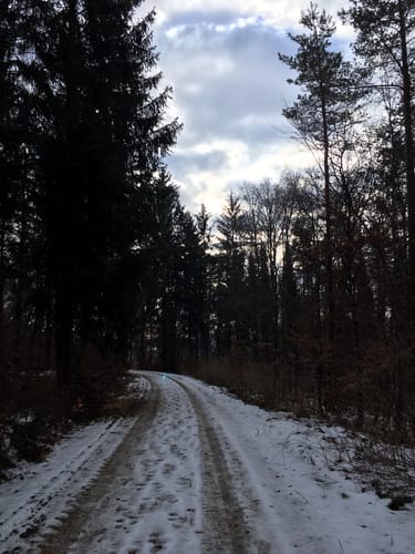 Bei Lauterach zur Kapelle