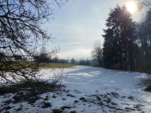 Rundwanderweg bei Ihrlerstein
