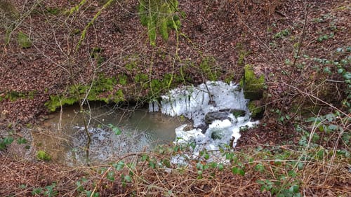 Bad König Tour 11: Von der Momarter Eiche um die Pfaffenwiese