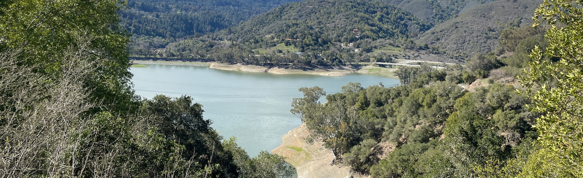 Lexington Reservoir Trail: 2.635 foto - California | AllTrails