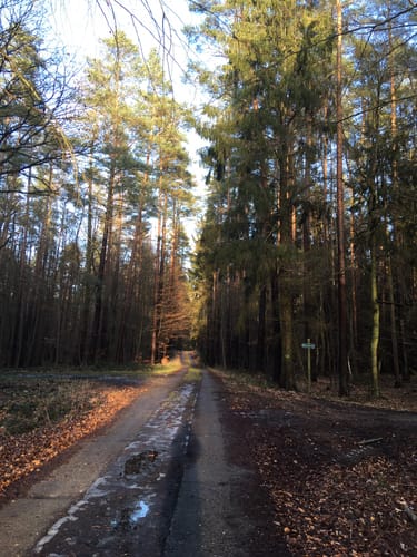Kleine Runde bei Sponholz