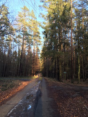 Kleine Runde bei Sponholz