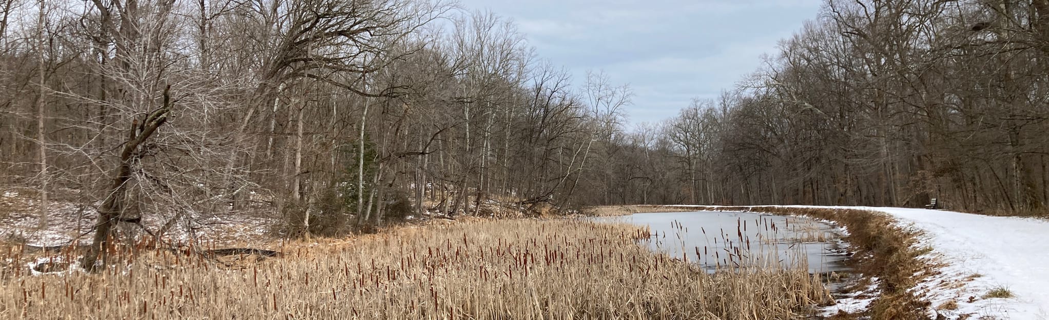 C amp O Canal Towpath Carderock to - EyJidWNrZXQiOiJhc3NldHMuYWxsdHJhaWxzLmNvbSIsImtleSI6InVwbG9hZHMvcGhvdG8vaW1hZ2UvMzM3NzM4NDUvMTk3OTBhOWIxMTAzOGFiNTI3YzVjYTM4YTI1NjhiYzkuanBnIiwiZWRpdHMiOnsidG9Gb3JtYXQiOiJqcGVnIiwicmVzaXplIjp7IndpZHRoIjoyMDQ0LCJoZWlnaHQiOjYyNCwiZml0IjoiY292ZXIifSwicm90YXRlIjpudWxsLCJqcGVnIjp7InRyZWxsaXNRdWFudGlzYXRpb24iOnRydWUsIm92ZXJzaG9vdERlcmluZ2luZyI6dHJ1ZSwib3B0aW1pc2VTY2FucyI6dHJ1ZSwicXVhbnRpc2F0aW9uVGFibGUiOjN9fX0=