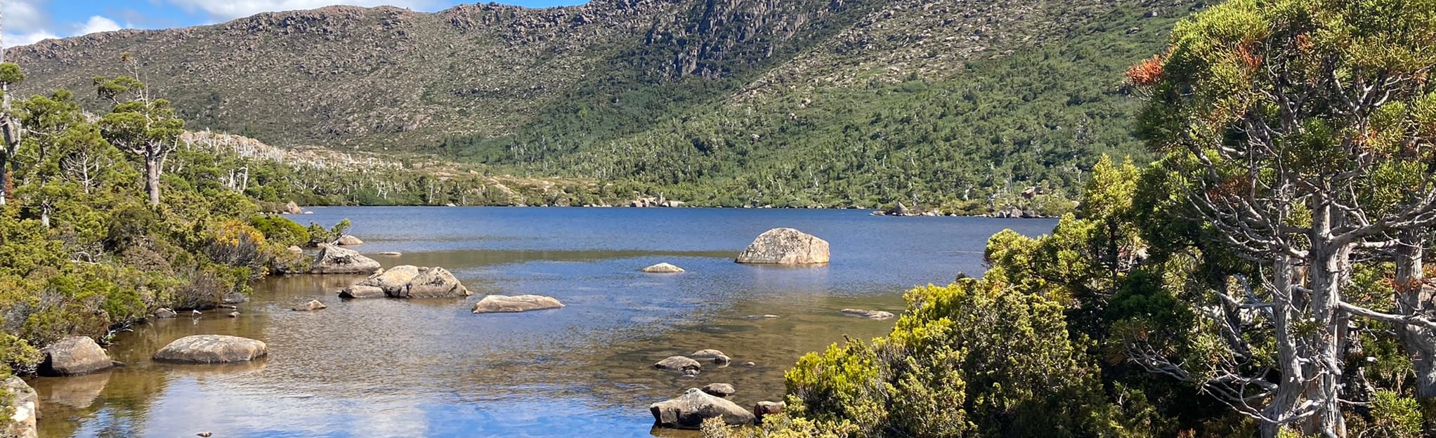 Mount Field West via Lake Dobson and Lake ster 406 fotos Tasmânia, Austrália AllTrails