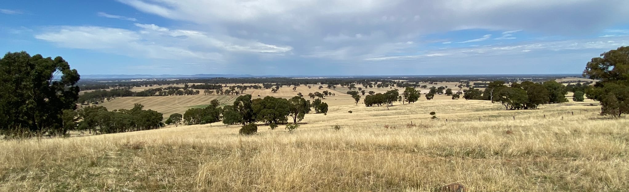 Mount Major Circuit, Victoria, Australia 24 Reviews, Map AllTrails
