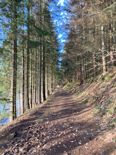 Oestertalsperre Rundweg