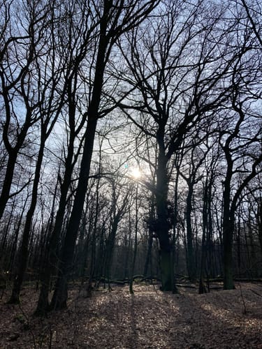 Grumbach ab Stahlquelle