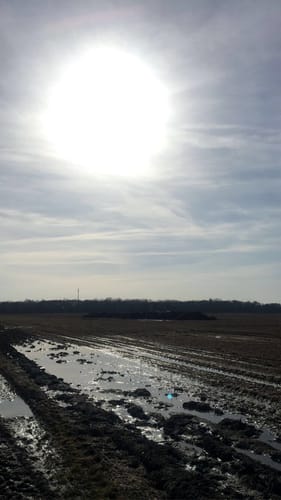 Runde bei Kirchhain