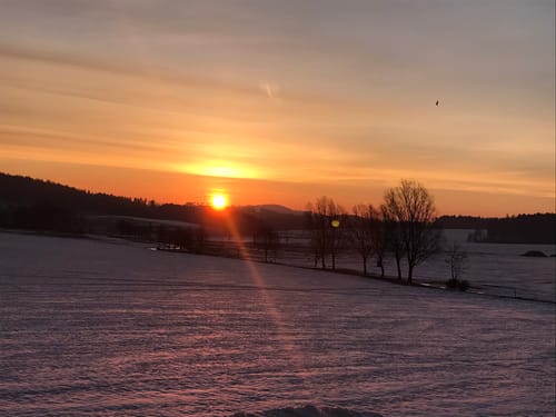 Mönchswalde nach Scheidenbach