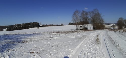 Steinertskirchen - Beuern - Zieglerhof