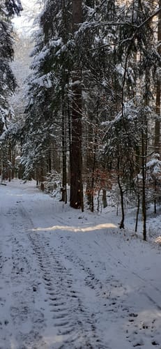 Steinertskirchen - Beuern - Zieglerhof