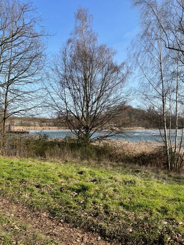 Hohnhorstpark und Hohnhorstsee