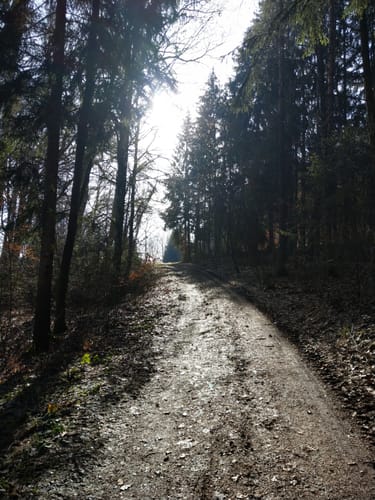Berching nach Rudertshofen