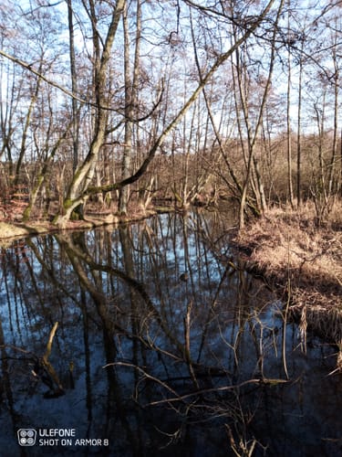 E9: Von Güster nach Mölln