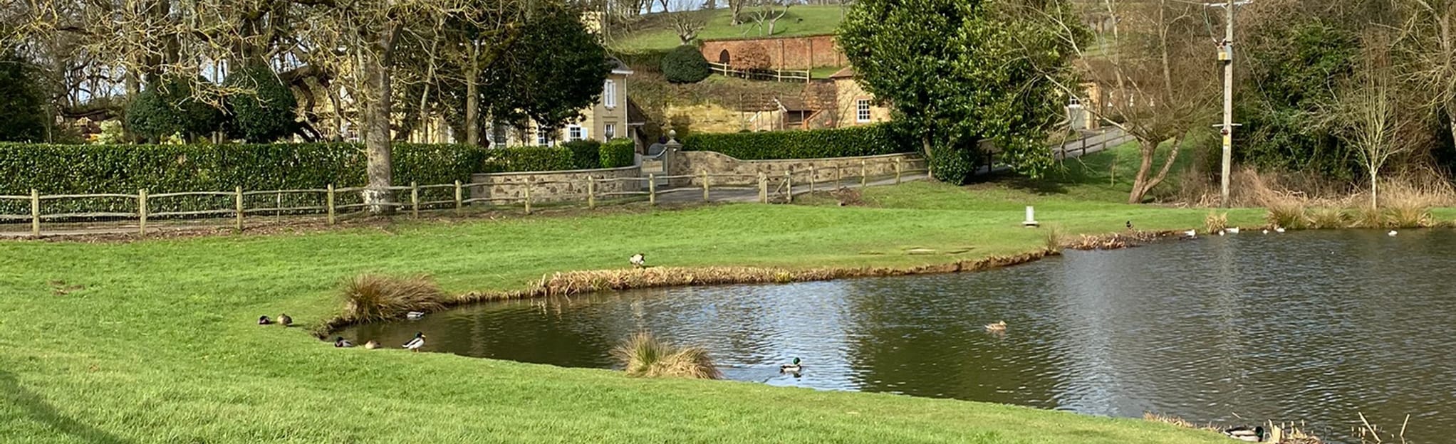 Little London Circular, Surrey, England 59 Reviews, Map AllTrails