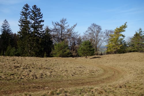 Premiumwanderweg: Vorgeschichtsweg