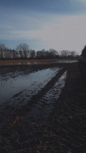 Werenzhain nach Doberlug-Kirchhain