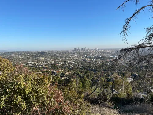 Trails in Griffith Park, Los Angeles, California, United States 33820326 | AllTrails.com