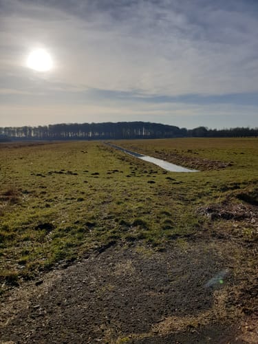 Siebendörfer Moor