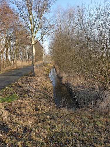 Siebendörfer Moor