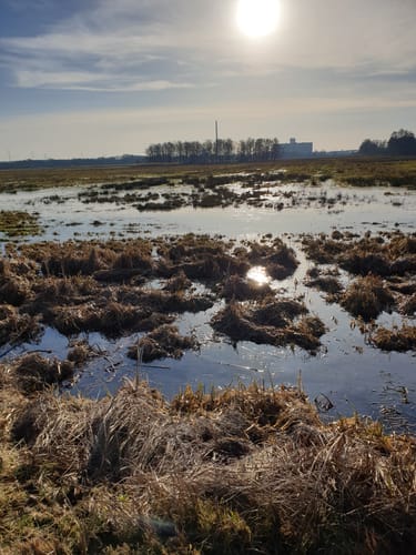 Siebendörfer Moor