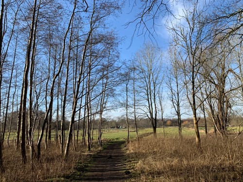 Rund um Felm