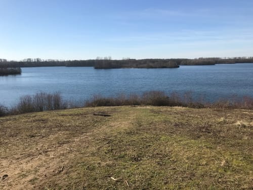 Um den Elbsee