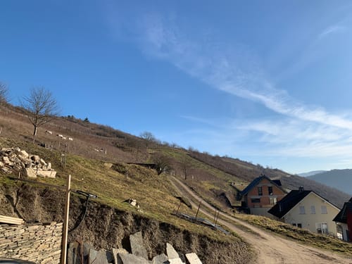 Aus Manubach rund um Winzberg