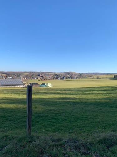 Eschweiler Satdtwald Runde