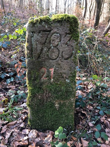 Waldfriedhof - Wildpark Völklingen