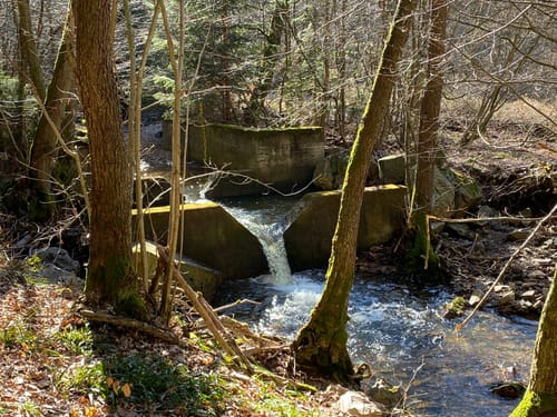 Im Lametbach-Tal