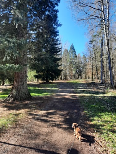 Brückweiher - Gustavsburg