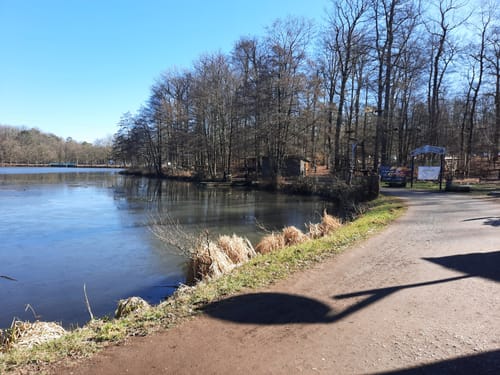 Brückweiher - Gustavsburg